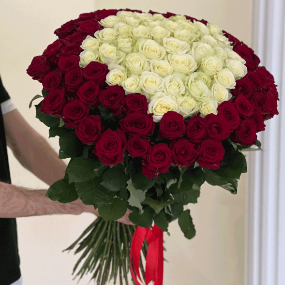 101 роза красная и в середине белая в Алупке