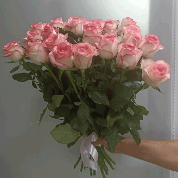 21 нежно-розовая роза, лента в Алупке