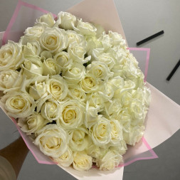75 белых роз 