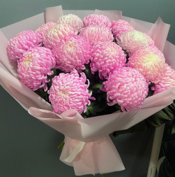 Фарфоровая нежность