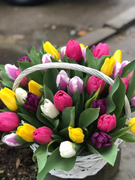 41 тюльпан микс в корзине в Алупке