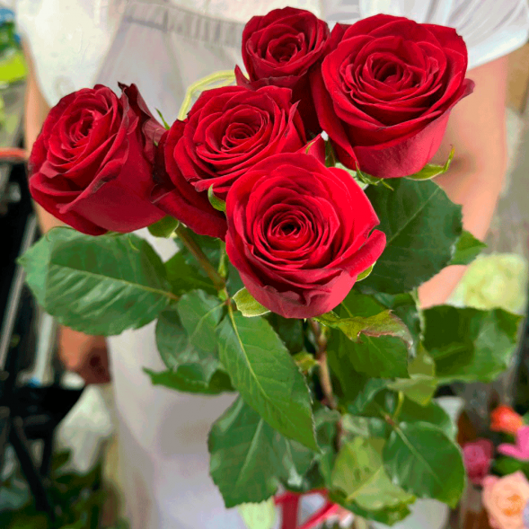 5 красных роз в Алупке