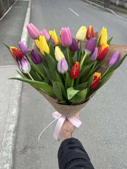 25 тюльпанов микс в упаковке в Алупке