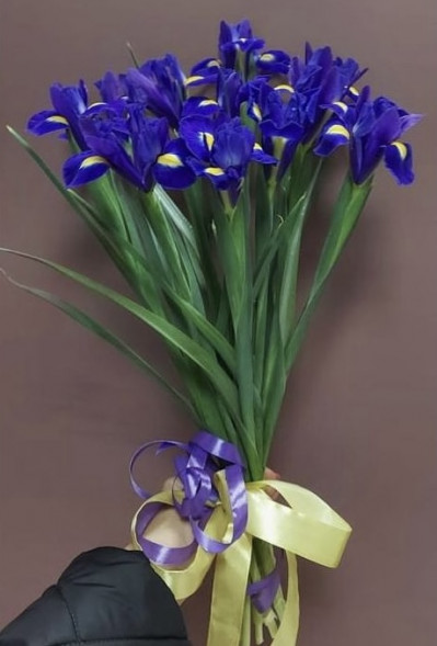 Букет 11 ирисов  в Алупке