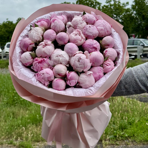 29 пионов &quot;Сара-Бернар&quot; в нежно-розовой упаковке в Алупке